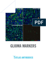 Glioma Markers