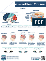 Brains, Drains and Head Trauma BCEN