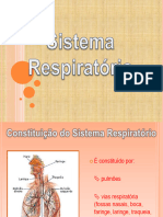 Sistema Respiratória Resumo 1