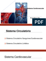 Sistema Cardiovascular VS Exercício Físico