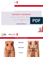Aparato Urinario PDF 2022