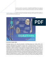 Esqueleto Axial