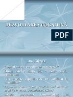 Dezvoltarea Cognitiva - Anteprescolar