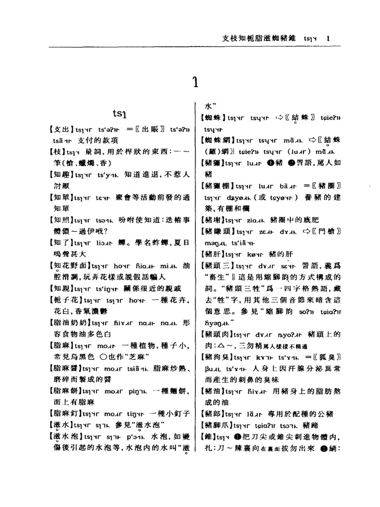 Shanghainés - 上海方言词典 | PDF