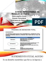 Recuperación Fetal Intrauterina en Trabajo de Parto Simulacion