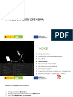 Programación Ofensiva 4