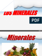 1e-Los Minerales.