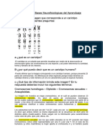 Tercer Parcial de Bases Neurofisiologicas Del Aprendizaje 1