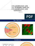 Lecture 7 - Cytokinesis and Cell Cycle Checkpoints