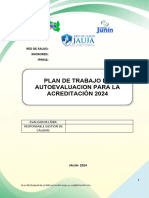 Plan de Autoevaluacion Modelo 2024 Ultimo