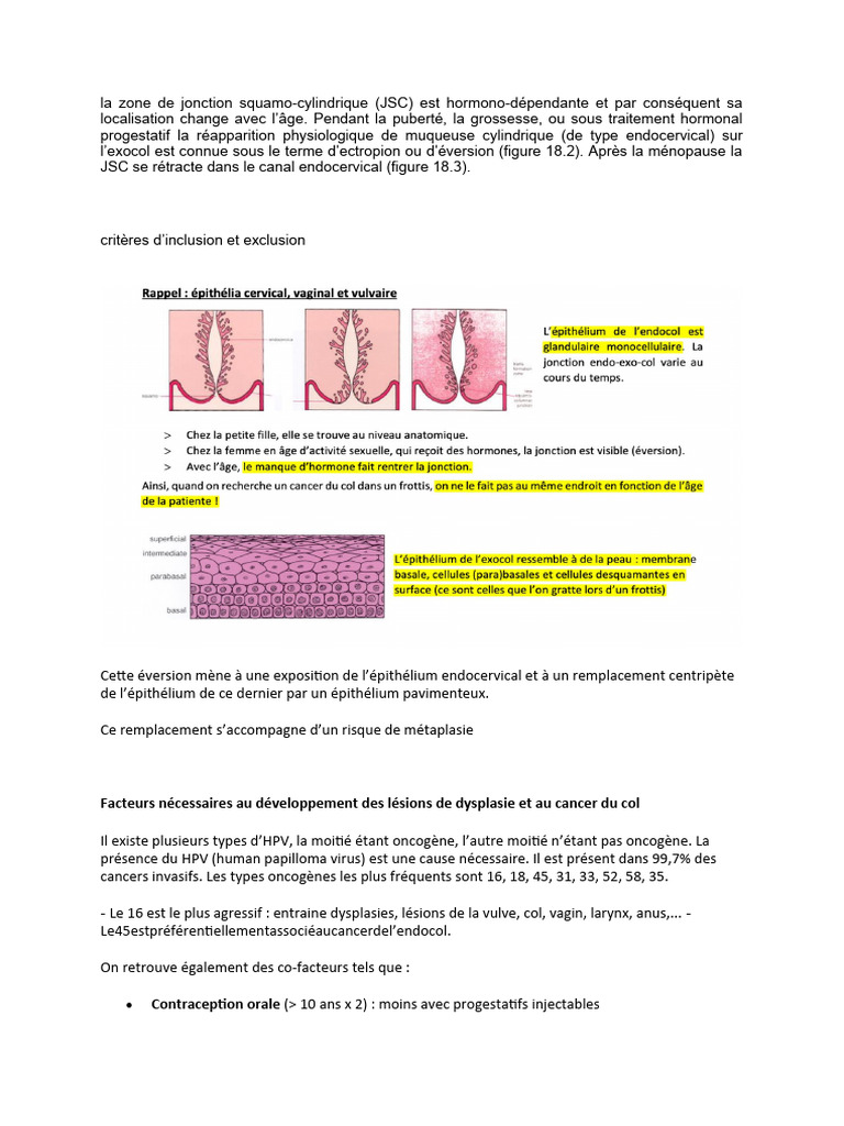 Zone de jonction et cancer du col | PDF | Spécialités médicales ...