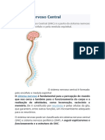 Sistema Nervoso Central