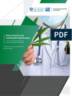 Folleto Diplomado Cannabis