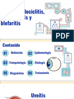 Uveítis, Iridociclitis, Conjuntivitis y Blefaritis