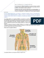 Sistema Linfático e Inmunitario