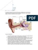 Sentido Del Oido