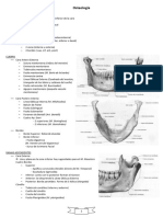 Resumen Anatomia I