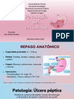 Patologia Digestiva Offir