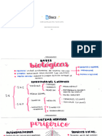 Bases Biologicas de Luisito