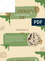 Beige Brown Abstract Portfolio Presentation