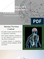 Embriología Del Sistema Nervioso Central