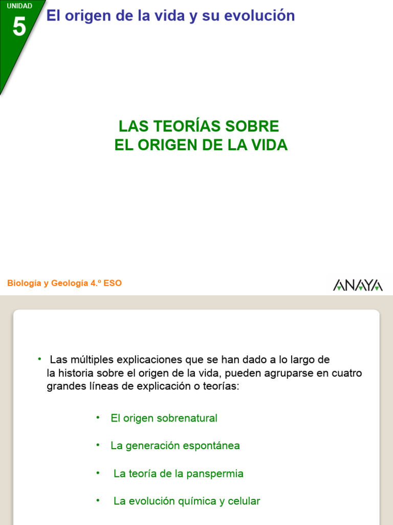 Teorías del Origen de la Vida | PDF | Abiogénesis | Vida