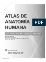 Introduccion Atlas