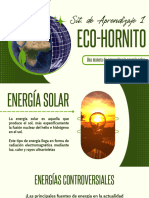 Eco-Hornito 20240225 183324 0000