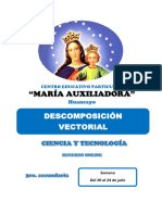 "María Auxiliadora": Descomposición Vectorial