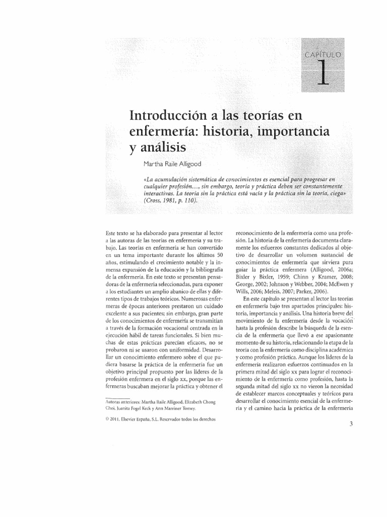 TEORIA EN ENFERMERIA | PDF