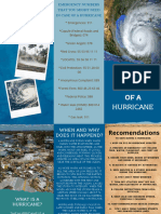 Natural Disasters Brochure