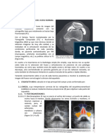 Introduccion, Anatomia de Imagen Del Musculoesqueletico. (Semana 09) Dpi