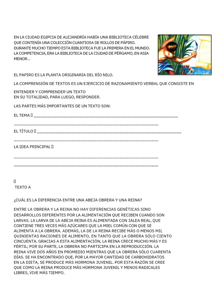 Comprensión de Lecturas para Tercero de Secundaria | PDF | Buldog | Abejas