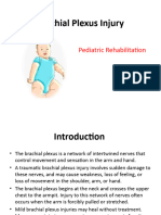 Brachial Plexus Injury