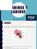 Faringe y Laringe AA