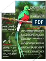 Infografia Del Quetzal