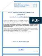 CONTROLE DE GESTION