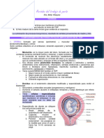 Fisiologia Del Trabajo de Parto Primera Parte