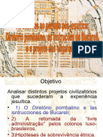 O Diretório Pombalino e Os Projetos Da Oligarquia Do Rio Grande Do Sul