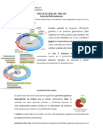 Guía de Contenidos Sesión 5 BIOL130