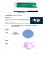 PRÁCTICA 4 - Reporte de Repaso