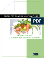 BUSINESS PLAN DIVINE NATURE