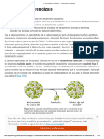 21.3 Decaimiento Radiactivo - Química 2ed - OpenStax