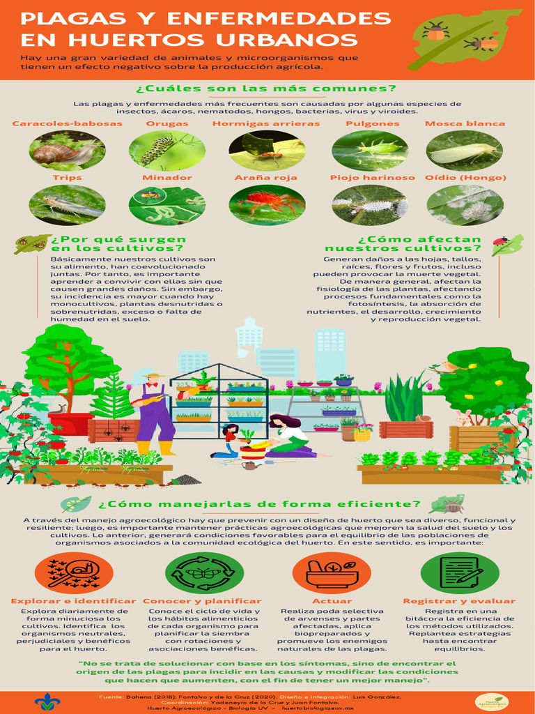 Manejo Agroecológico de Plagas en Huertos | PDF | Plaga (organismo ...
