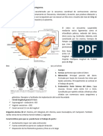 Fisiología Del Trabajo de Parto y Partograma