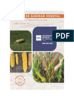 Notas de Sanidad Vegetal - N°3 - Propuesta de Evaluación y Estimación de Disminución de Rinde Por El Complejo Del Achaparramiento