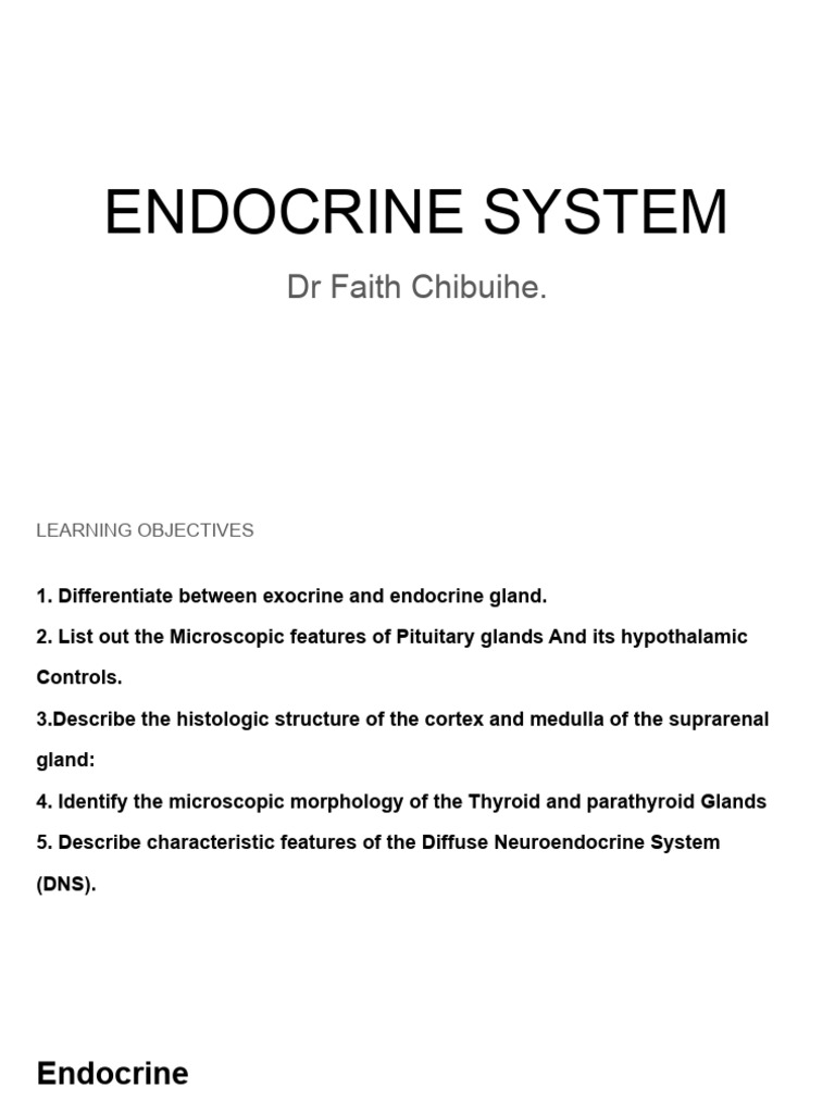 Endocrine System Part 1 Pdf Adrenal Gland Pituitary Gland