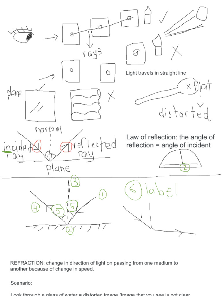 Light | PDF