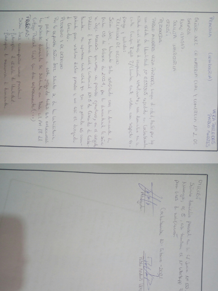 Prac. Inhibitoria y Declinatoria | PDF
