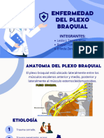 Enfermedad Del Plexo Braquial